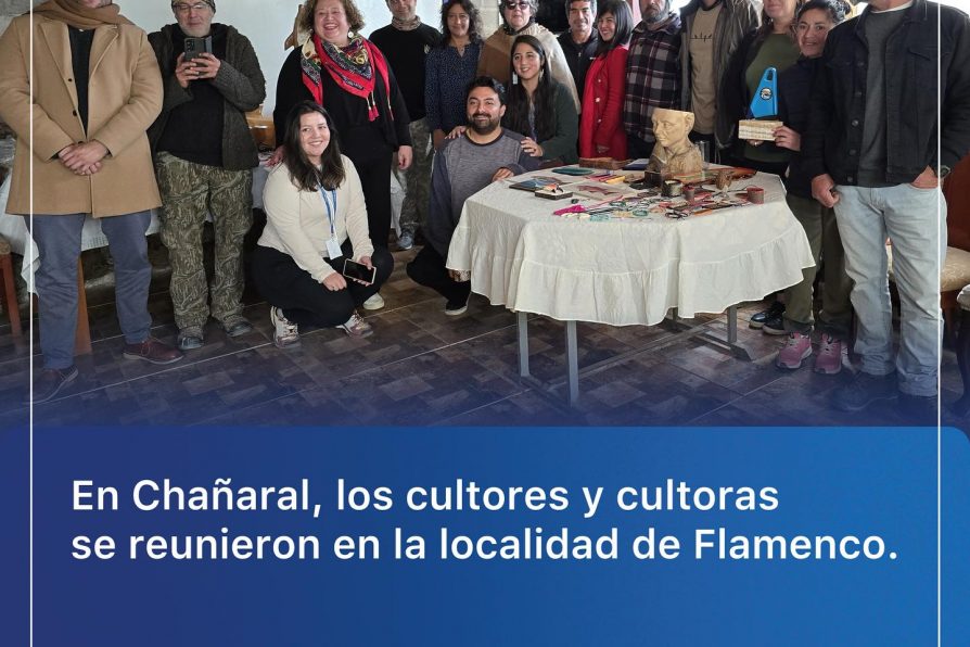 Delegado y Seremi de las Culturas, Las Artes y Patrimonios se reunieron con artesanos de la provincia de Chañaral