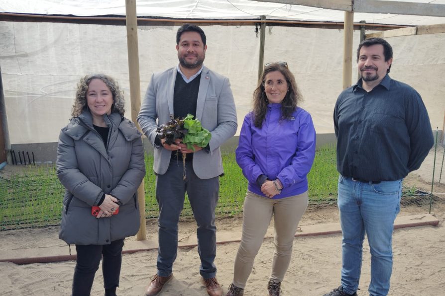 Producción local de hortalizas frescas con agua de niebla