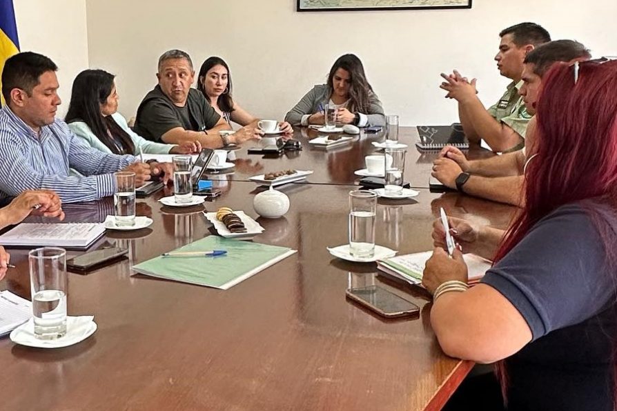 Comité Policial y su importancia en seguridad pública