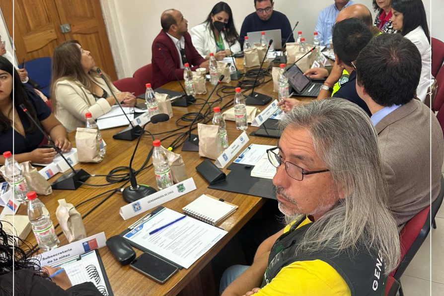 Nuevo Consejo Comunal de Seguridad Pública se desarrolló en Diego de Almagro