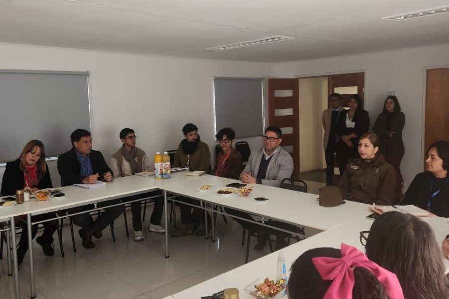 Primera mesa de trabajo de la unidad de genero de la delegación presidencial provincial de Chañaral