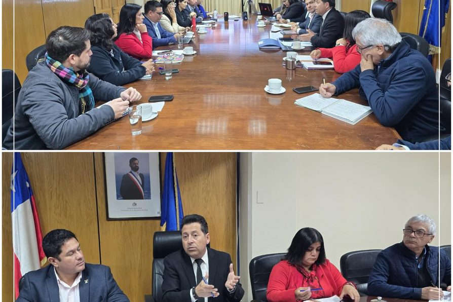 Gabinete Regional se desarrolló en Copiapó