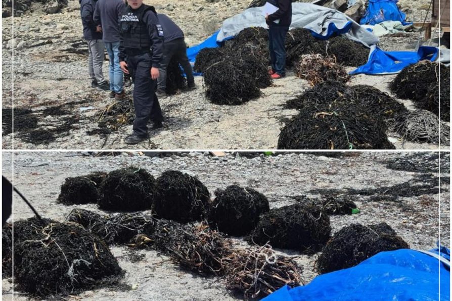 Fiscalización en el borde costero realizó la DPP Chañaral junto a instituciones