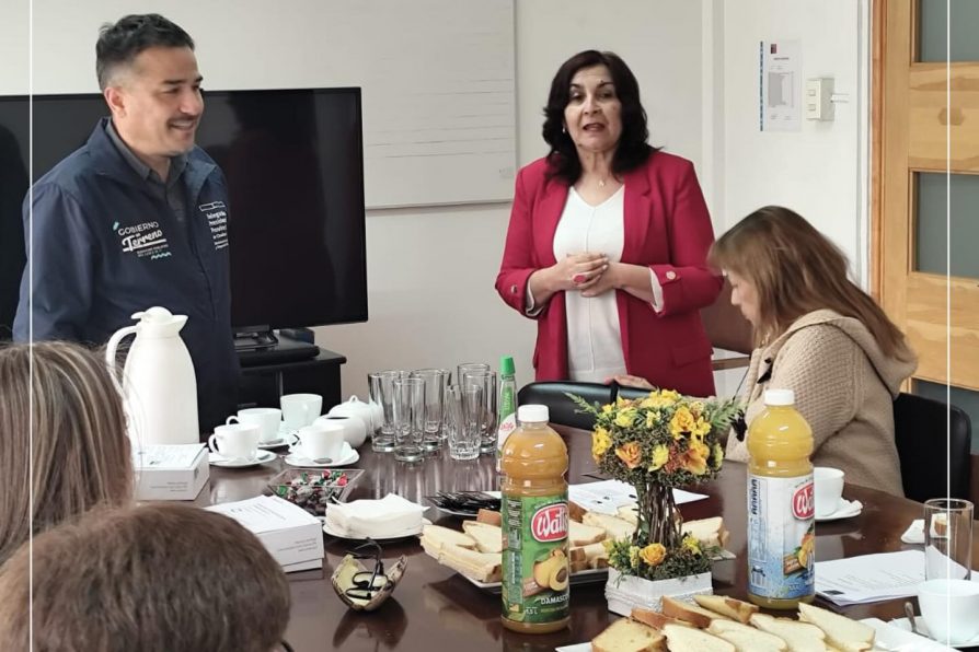 Capacitación dirigida a las integrantes del programa Voluntariado País de Mayores se realizó en la delegación presidencial provincial de Chañaral