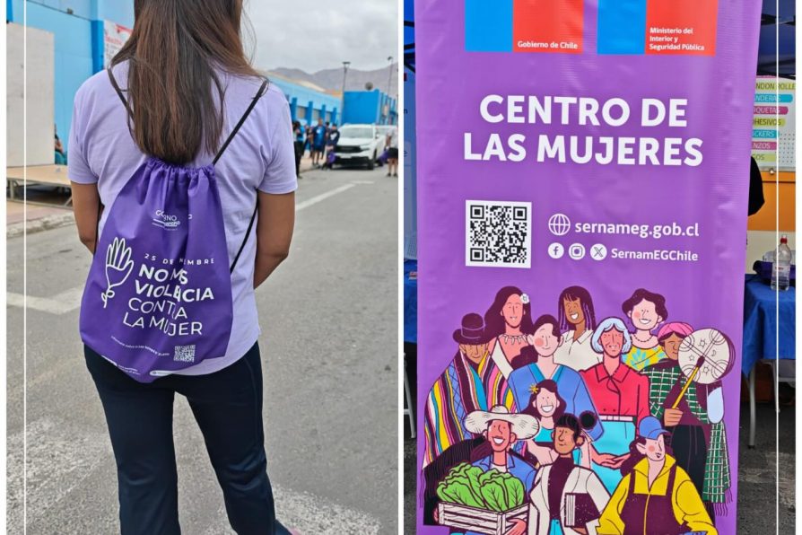 Gobierno en Terreno y la erradicación de la violencia contra la mujer