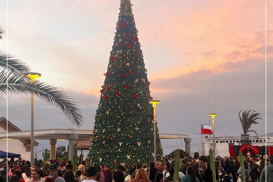 Chañaral y El Salado vibraron con el encendido del arbol navideño