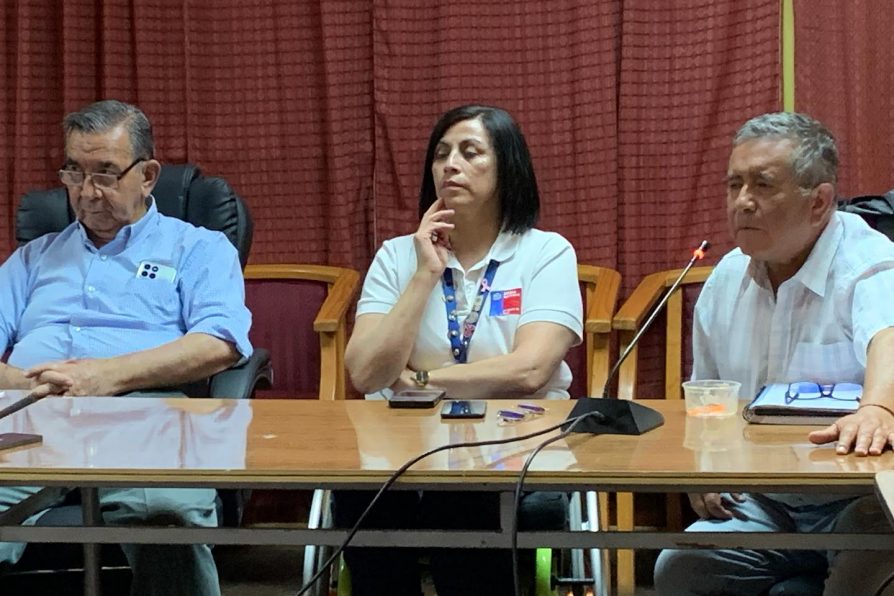 Mesa Provincial de Medio Ambiente cierra el año con compromiso ambiental para Chañaral