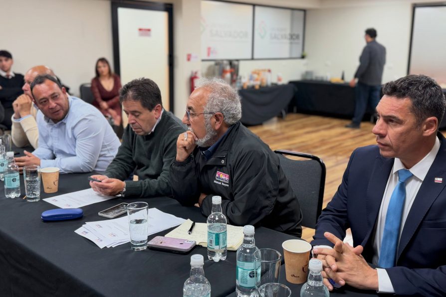 Hito histórico: Comisión Provincial de Chañaral sesiona por primera vez en El Salvador y aprueba gobernanza portuaria